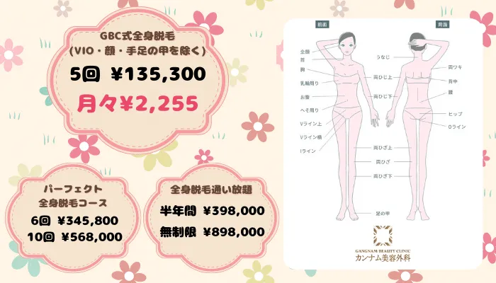 カンナム美容外科全身比較料金