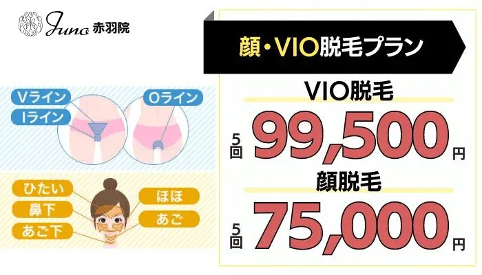 ジュノビューティークリニック赤羽顔・VIO脱毛プラン