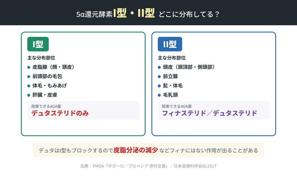 5α還元酵素I型・II型の部位別分布